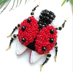 Insect Brooch, lady-beetle brooch, lady-cow brooch, brooch pin, insect pin, insect jewelry, ladybug brooch, gift