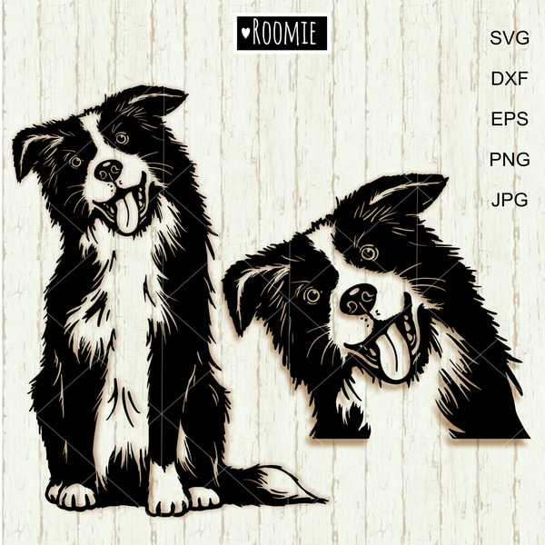 Border-collie-black-and-white-clipart.jpg