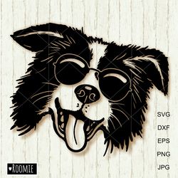border collie with sunglasses svg for cricut, peeking dog shirt design car decal clipart cut file cricut vinyl /103