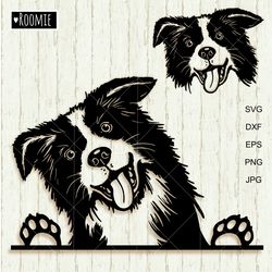 Border Collie Svg For Cricut, Peeking dog Shirt Design Car Decal Clipart Cut file Cricut Vinyl /104