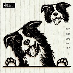 border collie svg for cricut, peeking dog shirt design car decal clipart cut file cricut vinyl /104