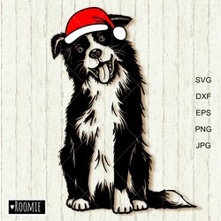 Christmas Border Collie With Santa Hat Svg, New Years dog Shirt Design Car Decal Clipart Cut file /185