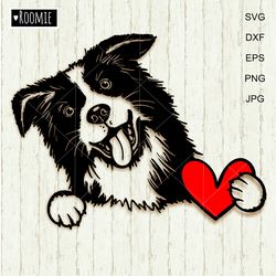 Border Collie With Valentine Heart Svg For Cricut, Love dogs Shirt Design Decal Clipart Vector Cut file Cricut /109