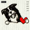 Border-collie-with-Valentine-heart-SVG-clipart.jpg
