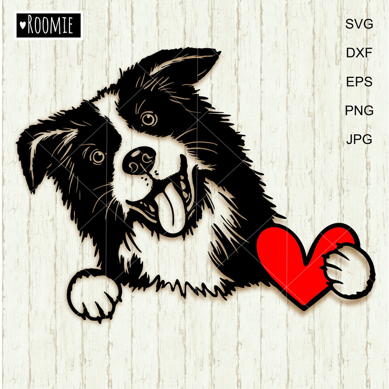 Border-collie-with-Valentine-heart-SVG-clipart.jpg