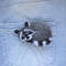 Animal brooch Raccoon pin Felt animal (9).JPG