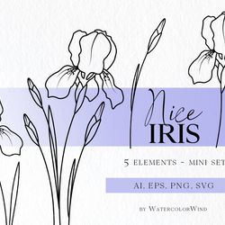 Iris Birth Month Flower SVG files, February Birthday Flowers for Instant Download