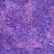 Lilac-Digital-Paper-Flowers-Seamless-Pattern-Spring-Wallpaper-Purple-Background-Endless-Fabric-Packaging.JPG