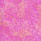 Lilac-Digital-Paper-Flowers-Seamless-Pattern-Spring-Wallpaper-Purple-Background-Endless-Fabric-Packaging-1.JPG
