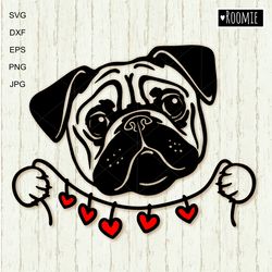 pug dog with hearts shirt design svg clipart for cricut, love pugs portrait, decal vector cut file cricut /117