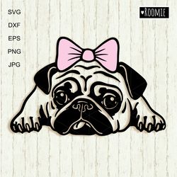cute pug dog girl with bow shirt design svg clipart for cricut, pet portrait, decal vector cut file cricut vinyl /119