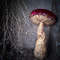 sculpture- mushrooms.jpg