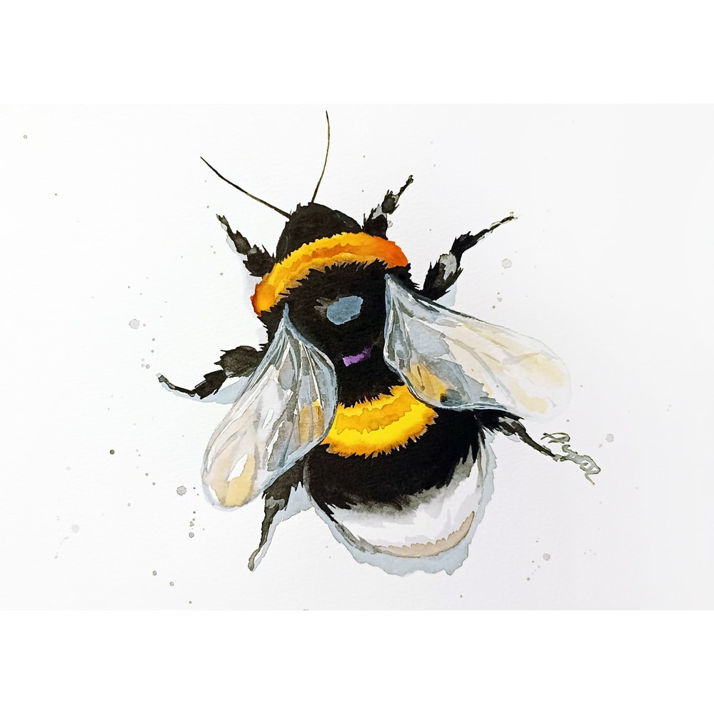 1667409139023 (1).jpg