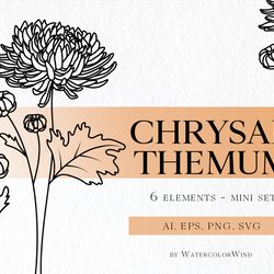 Chrysanthemum Birth Month Flower SVG files November Birthday Flower Clipart For Instant Download