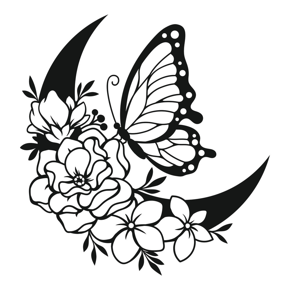 butterfly crescent1.jpg