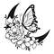 butterfly crescent1.jpg