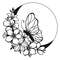 butterfly crescent6.jpg