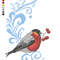 bullfinch bird.jpg