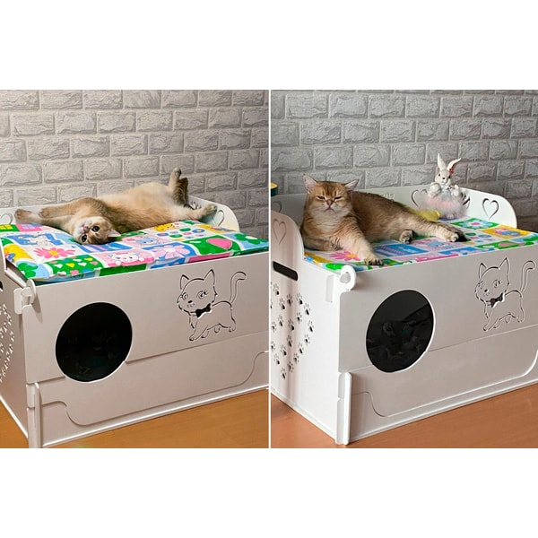 Wooden modular whelping nesting cat Birthing box, pregnant c | Inspire ...