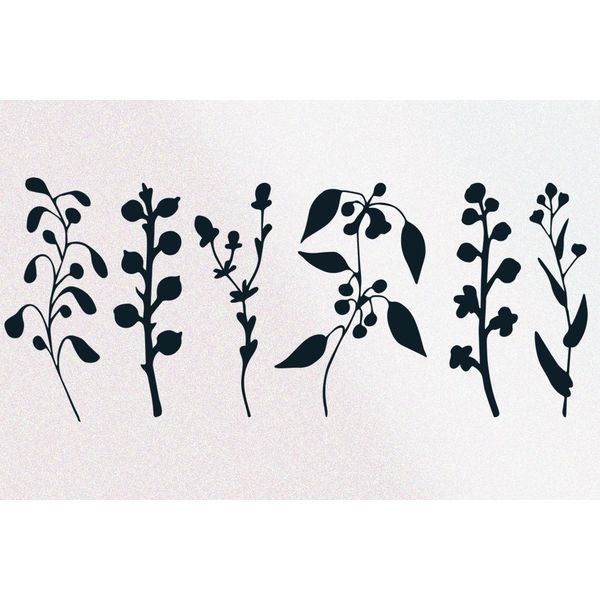 Set of compositions of silhouettes of flowers and branches cover 3.jpg