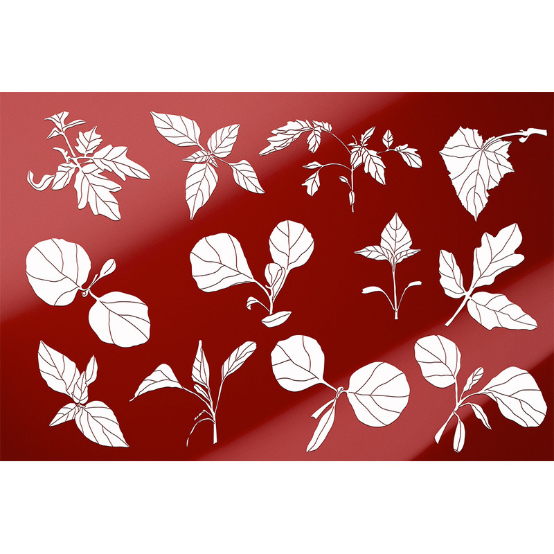 Set of plant silhouettes card cover 1.jpg