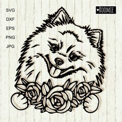 pomeranian spitz with flowers svg, peeking dog pom shirt design car decal clipart vector cut file cricut vinyl /121