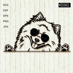 pomeranian spitz with sunglasses svg, peeking dog, pom shirt design car decal clipart vector cut file cricut vinyl /122