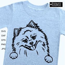 pomeranian spitz shirt design svg, peeking dog pom car decal clipart vector cut file cricut vinyl /124