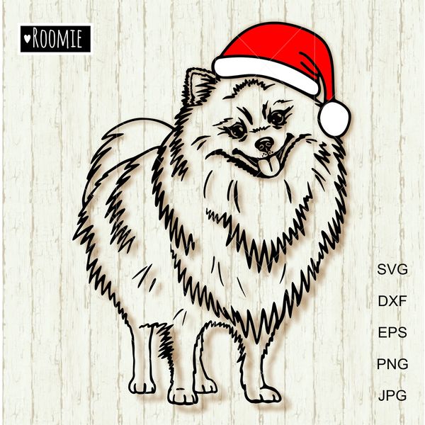 Christmas-Pomeranian-Spitz-with-Santa-hat-1.jpg