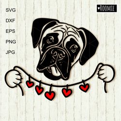 boxer portrait with hearts svg, boxer dog lovers gift, shirt design car decal clipart vector cut file cricut vinyl /135