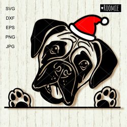 Christmas Boxer Dog Svg, Boxer With Santa Hat Shirt Design Decal Clipart Vector Cut file Cricut Vinyl /193