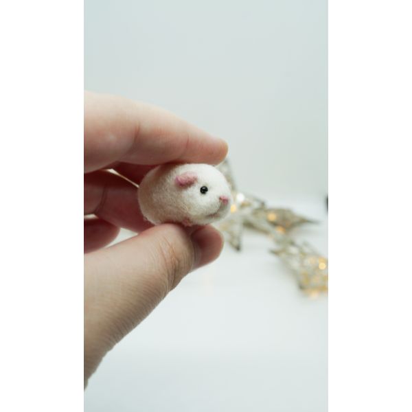 guinea-pig-miniature-2