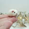 guinea-pig-white-miniature