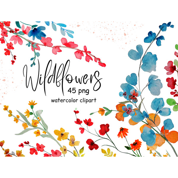 Wildflowers.png
