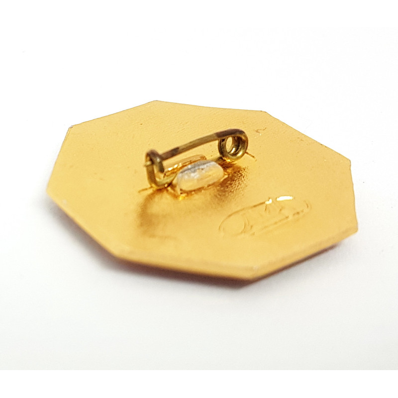 9 Vintage Service USSR All Union Population Census Badges 1970.jpg