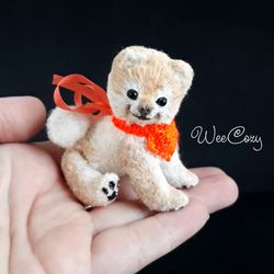 Mini pomeranian dog