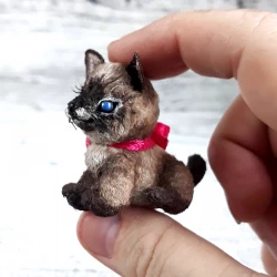 Miniature siamese kitten