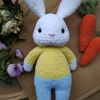 crochet_bunny.jpeg