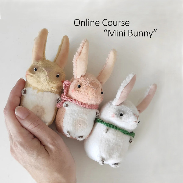 course_bunny.jpg