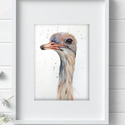 Ostrich 8x11 inch original watercolor art bird painting by Anne Gorywine