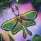 Luna Moth Cross Stitch Pattern