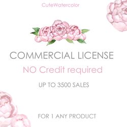 commercial license for small business