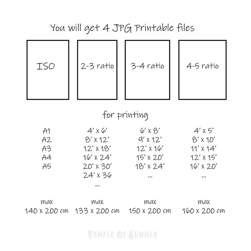 ratio t.jpg