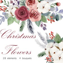 Watercolor christmas flowers, clipart png