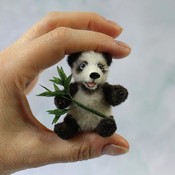miniature-panda-bear.jpg
