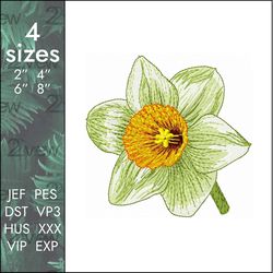 Daffodil Embroidery design, daffodils romantic flower, 4 sizes