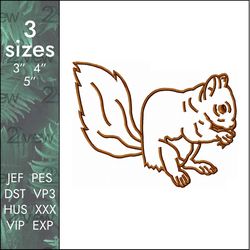Squirrel Embroidery Design, applique designs, 3 sizes