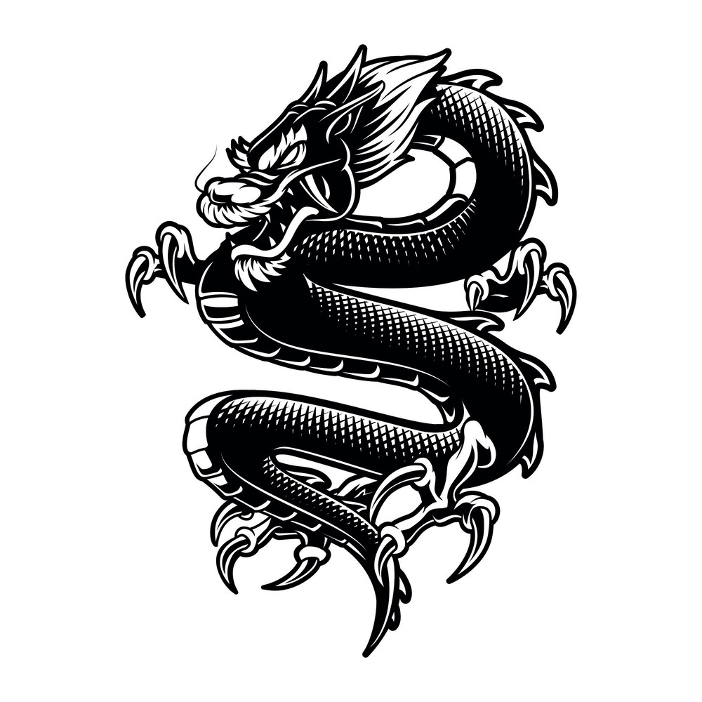 dragons1,9.jpg