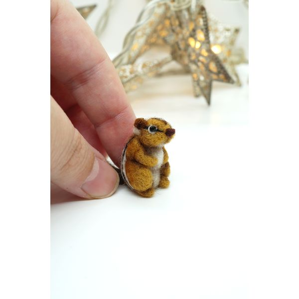 miniature-chipmunk