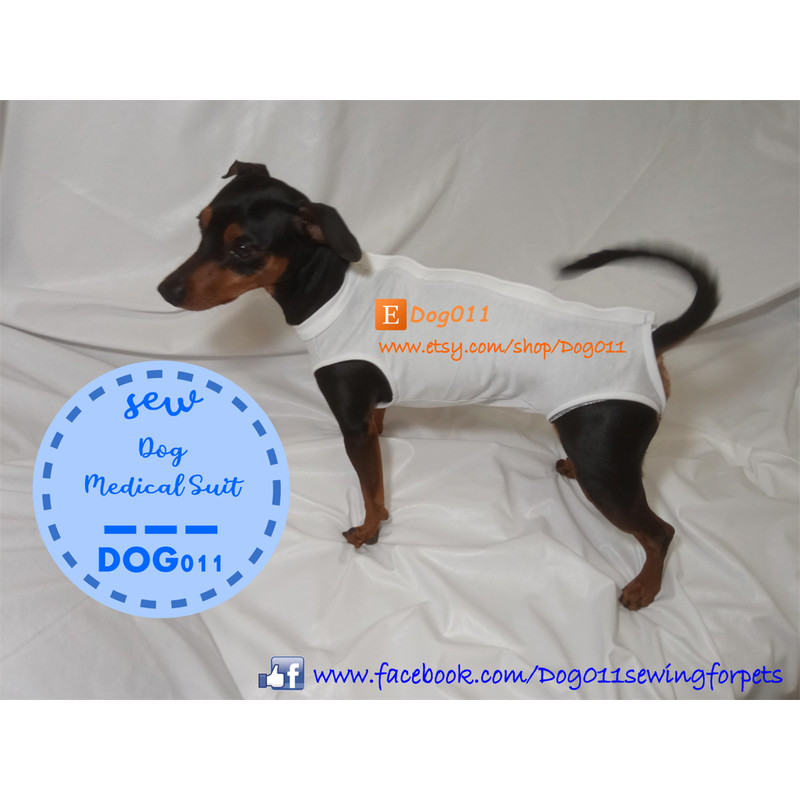 Etsy Shop Dog011 - medical suit - 002.png